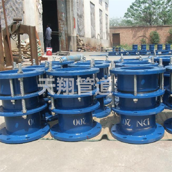 �ό������s���^