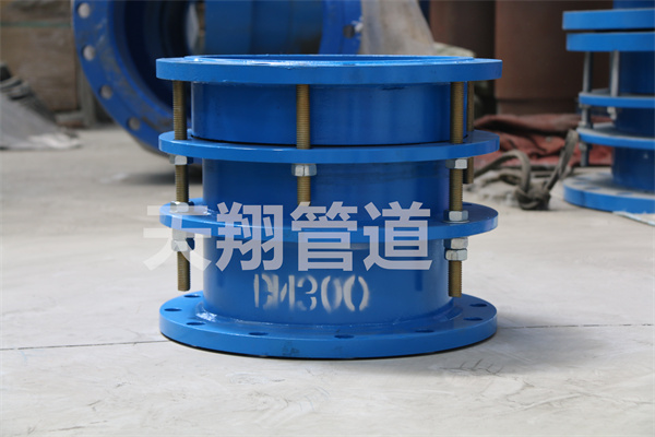 ���������s���^