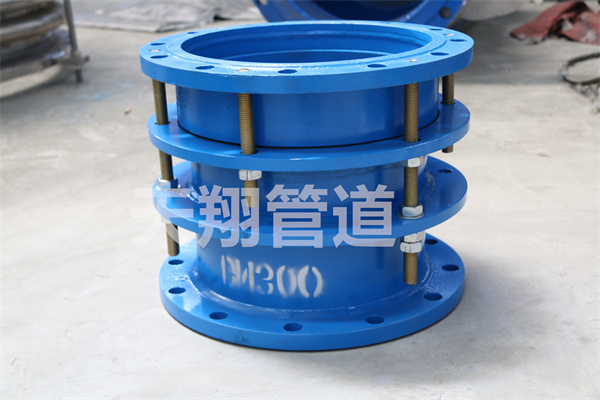 �����s���^