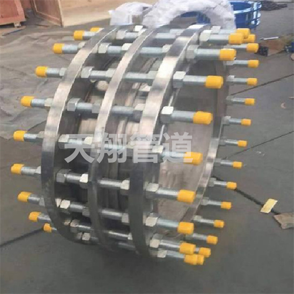 ����ľ�R���P���s���^